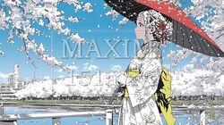 満開の桜の木の下を歩く若い女性｜4322857-7322