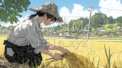 田んぼで農作業をしている女性 | 4457235-10532