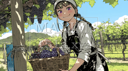 葡萄を収穫している若い女性 | 4573775-6102