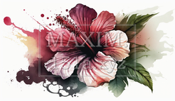ハイビスカスの花の水彩画 | 4586525-18276