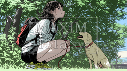 愛犬を調教している若い女性｜4460921-10893
