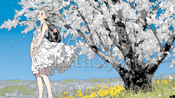 満開の桜の木の下を歩く若い女性