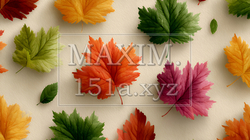 秋の紅葉の葉のフラットな背景画像 | 5015805-12517