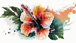 ハイビスカスの花の水彩画 | 5122559-18272