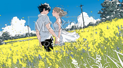 菜の花畑でデートをしている若いカップル｜5317251-13675