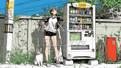 自動販売機で飲み物を購入する若い女性｜日常・ライフスタイル・屋外シーン | 5429411-17517