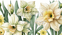 スイセンの花の水彩画 | 5806123-18265