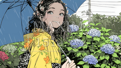 アジサイと梅雨の長雨と若い女性｜6085590-8527