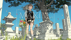 墓参りをしている若い女性 | 6189056-11618