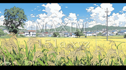 田んぼ