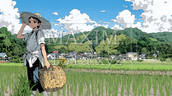 田んぼで農作業をしている女性 | 6535007-10549