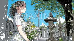 墓参りをしている若い女性 | 6569969-11614