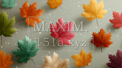秋の紅葉の葉のフラットな背景画像 | 659803-12515