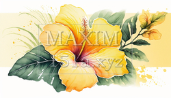 ハイビスカスの花の水彩画 | 6784108-18274
