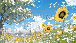 満開のひまわりと真夏の青空｜6985585-9076