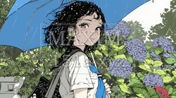 アジサイと梅雨の長雨と若い女性｜7039591-8735