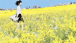 菜の花畑にいる若い女性 | 7179441-7748
