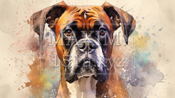ボクサー犬の水彩画 | 7290182-18488