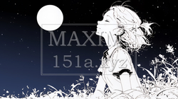 月見をしている若い女性（シンプルな色使い） | 7558308-11589