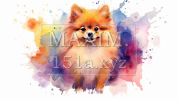 ポメラニアンの水彩画 | 7793470-18495
