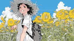 夏の晴天の日、ひまわりの畑を散策している若い女性｜8115479-10360