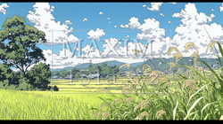 田んぼ