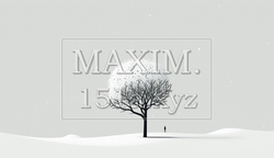 最小要素で表現した凍てつくような雪景色 | 8422156-19798