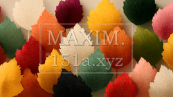 秋の紅葉の葉のフラットな背景画像 | 8633321-12499