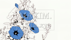 アサガオの花（シンプルな色使い） | 8683272-10224