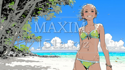南国の海岸にビキニ姿でいる若い女性｜9161515-10659