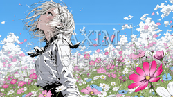 コスモス畑にいる若い女性｜9446993-16003