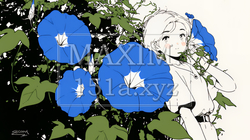 アサガオの花（シンプルな色使い）