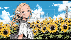 夏の晴天の日、ひまわりの畑を散策している若い女性｜9672049-8778