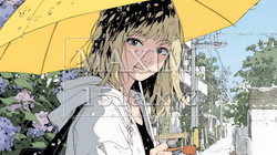 アジサイと梅雨の長雨と若い女性