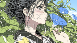 アサガオと浴衣姿の若い女性｜9799064-15340