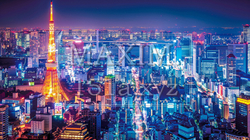 光り輝く大都市の夜景