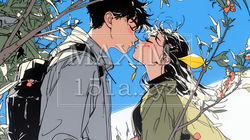 秋の紅葉の下でキスをしている若い恋人たち｜9949095-6116