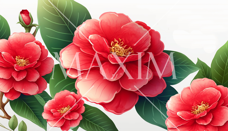 ツバキの花の水彩画