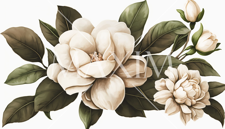 クチナシの花の水彩画