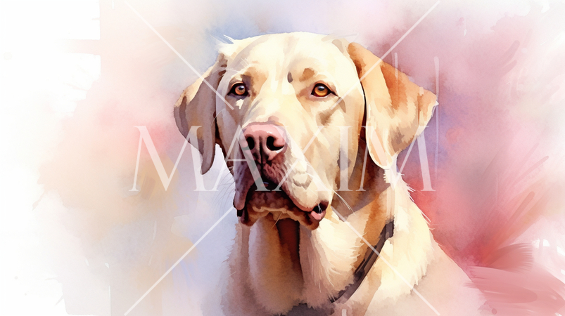 ラブラドール・レトリバーの水彩画