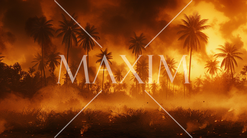 焼き畑や異常気象による南国の椰子林の森林火災