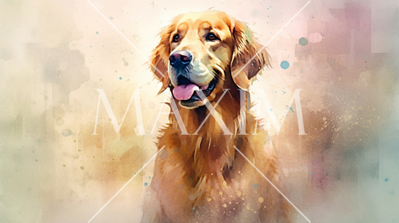 ゴールデン・レトリバー-水彩画