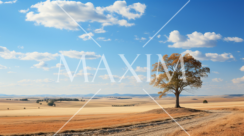 秋の草原と青空の精緻CG画