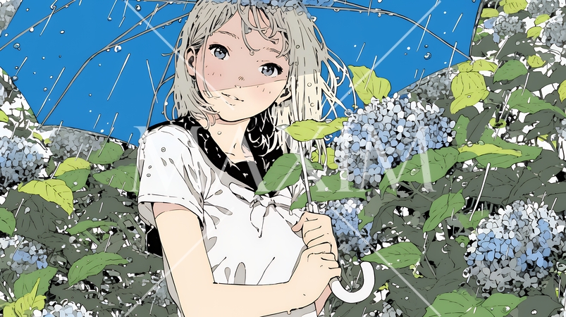 アジサイと梅雨の長雨と若い女性