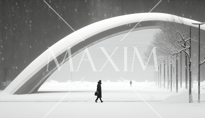 東京の雪の日の朝の静寂