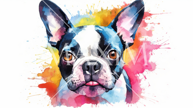 ボストンテリアの水彩画