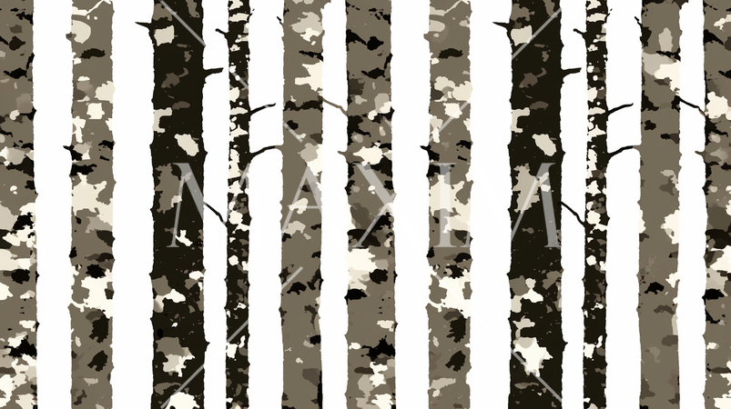 白樺林が作るストライプグラデーションの背景画