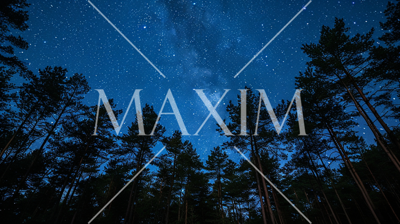 杉林の木陰から眺めた満天の星空・天の川：精緻CG