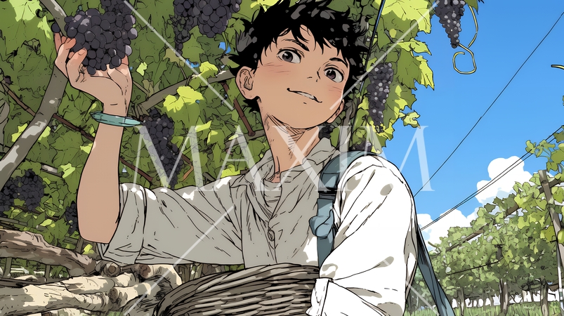 葡萄を収穫している若い男性