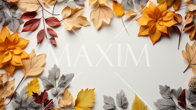 枯れ葉のある美しい秋の自然の白い背景：テキストコピースペースあり